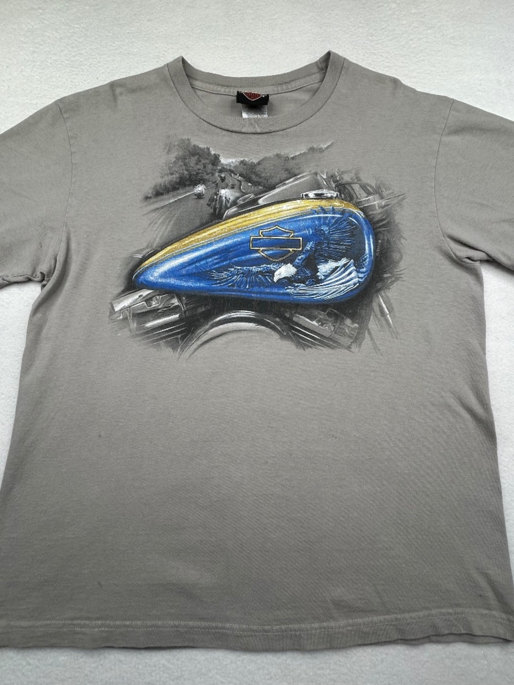 Harley-Davidson Large Denver Colorado Graphic T-shirt Motorcycle Eagle Biker